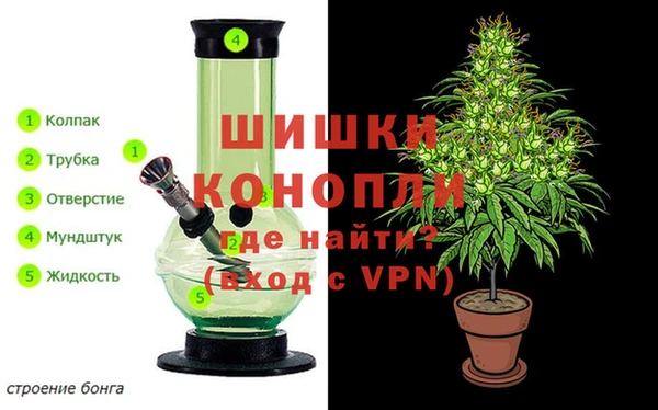 каннабис Арсеньев