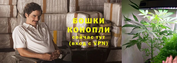 каннабис Арсеньев